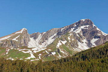 Views of Schwarzhorn massif