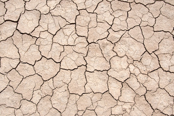 Dried soil (Playa or so called 'takir'). Uzbekistan, Turkmenistan, Kyzylkum Desert, Central Asia.