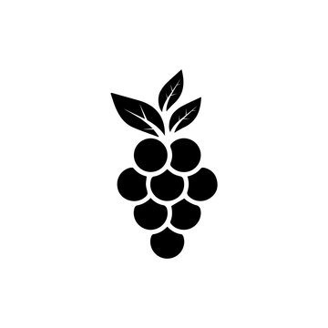 Grape icon trendy flat design