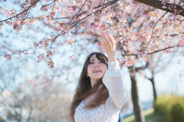 桜を見る女性