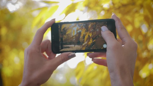 Girl taking picture on phone of yellow autumn tree.