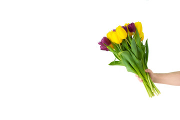 Men hand with yellow and purple tulips bouquet on white. Springtime