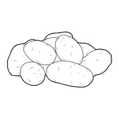 Potato Vector Illustration Hand Drawn Vegetable Cartoon Art