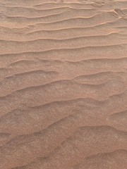sea or ocean?