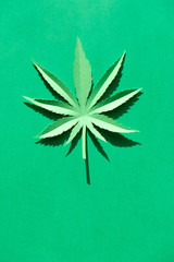 Cannabis leaf made of paper on green background