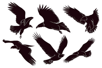 Naklejka na ściany i meble Hand drawn silhouette of eagle