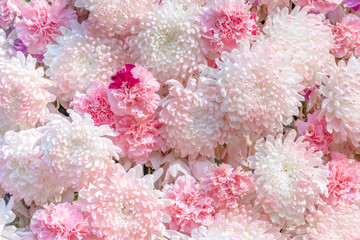 Beautiful flowers background for wedding scene.Bunch of flowers.Flower is love of couples on Valentine's Day.