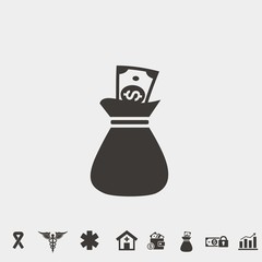 money bag vector icon with dollar notes