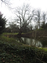 Bachlauf im Februar Winter Landschft