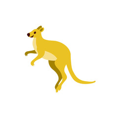 kangaroo vector graphic element design