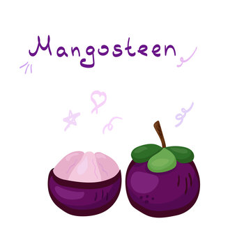 Hand drawn mangosteen fruits vector illustration isolated on white background. Cute minimal cartoon food elements with sketch lettering. Smiling fruits for smoothie, juice, kids menu, package, banner.