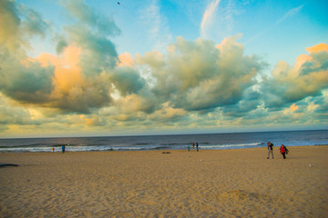 białe mewy ptaki na plaży nad morzem © Tymoteusz