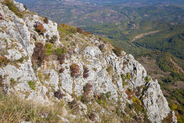 Autumn colors of bushes on a vertical cliff of white rock covered by dry grass