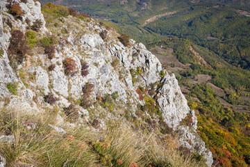 Autumn colors of bushes on a vertical cliff of white rock covered by dry grass