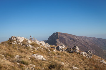 Foreground rocks with dry grass and red moss, narrow ridge at the top of the mountain, colorful autumn forest and impressive summit