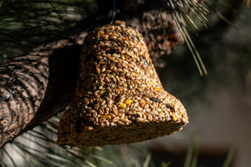 Bell from various grains, a delicacy for all the birds in the garden