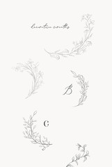 Collection of delicate line drawing vector floral wreaths frames. hand drawn delicate flowers, branches, leaves, plants, herbs. Botanical illustration. Leaf logo. Wedding invitation stationary