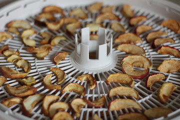 Close-up of slices of dried apples. Sliced fruits are laid out on the dryer deck. Source of vitamins and nutrients. Harvesting fruits.
