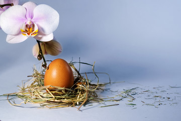 Easter eggs on a blue background.