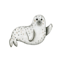 Cute seal-watercolor illustration isolated on white background. Cartoon stylized animal character, hand drawn clipart. Illustration for clothes, apparel, stickers, baby shower, greeting cards, prints.