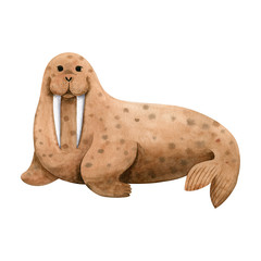 Cute sea walrus-watercolor illustration isolated on white background. Cartoon stylized animal character, hand drawn clipart. Illustration for clothes, stickers, baby shower, greeting cards, prints.