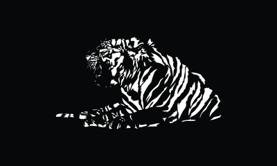 white tiger on black background