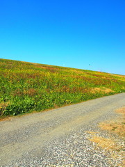 砂利道と菜の花の咲き始めた江戸川土手風景