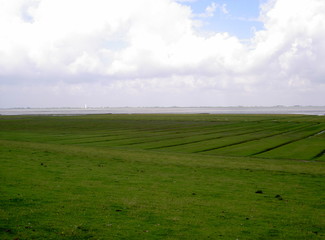 Fototapeta premium Deichlandschaft