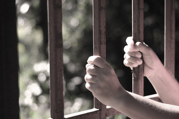 hand holding cage for freedom