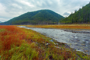 Beautiful landscape. Zeya reservoir, Amur region. A beautiful shallow river flows among fields on the background of red grass and low hills with green trees