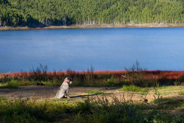 Fototapete bei efototapeten.de bestellen   