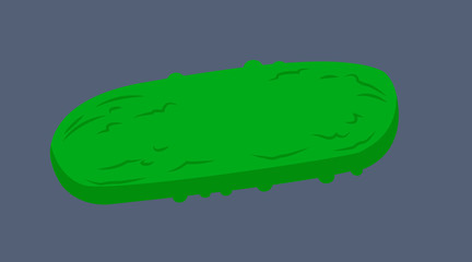 Vector Isolated Illustration of a Pickle