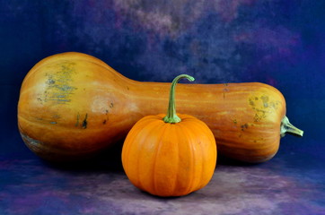 Organic butternut squash and small pumpkin on a purple abstract background