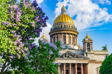 Saint Petersburg. Russia. St. Isaac's Cathedral on a Sunny summer day. Lilac blossom on St. Isaac's square. St. Isaac's Cathedral on the background of blooming lilacs. Architecture Of St. Petersburg