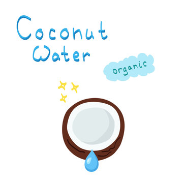 Fresh organic coconut water vector illustration isolated on white background. Brown flat design coconut sketch with blue water drop. Hand drawn minimal style tropical nut/fruit. Healthy food & drink.