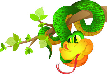 Vector image of a green snake hanging on a tree branch made in cartoon style, but having a volume.