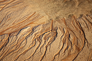 Western Australia – nature art structures at a sandy beach at low tide with water channels as top view in the morning sun