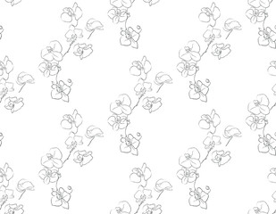 Fototapeta na wymiar Vector Hand Drawn Line Drawing Doodle Floral Seamless Pattern with Wildflowers, Plants, Branches, Leaves, orchid flowers. Design Elements Illustration. Branding. Swatch