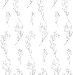 Fototapeta premium Vector Hand Drawn Line Drawing Doodle Floral Seamless Pattern with Wildflowers, Plants, Branches, Leaves. Design Elements Illustration. Branding. Swatch