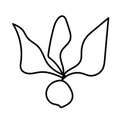 Vector single eco radish. Ecological illustration doodle black line on a white isolated background.Design for social media, web,cards,textiles,wrapping paper,packaging,prints,coloring.