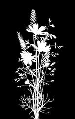 White silhouette of bouquet of daisy flowers and grass