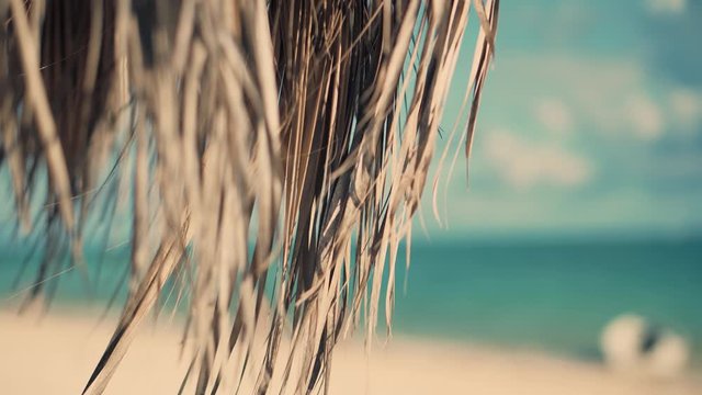 Dry Palm Leaves On Tropcal Beach.Summer Day In Tropical Island Vacation.Umbrella on Resort Hotel.Beach Hut On Caribbean Island Coastline.Dried Brown Palm Leaves On Beach Umbrella Azure Coast Sea.
