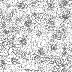 Hand-drawn dahlias line art. Isolated floral elements. Vector flowers on white background.
