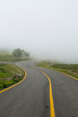 Fototapeta na wymiar highland road with foggy asphalt yellow lane in spring