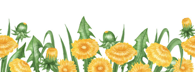 Dandelion seamless border