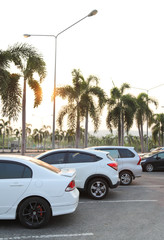 Closeup of rear, back side of white car with  other cars parking in parking area with natural background and sunset sky. Vertical view.