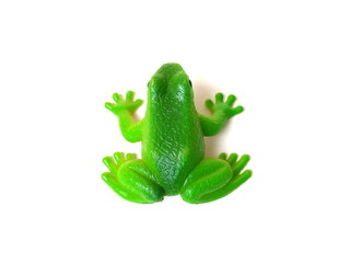 Close up of green frog toy isolated on white background. Artificial frog. Kids toy. Rubber toy.