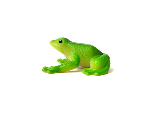 Close up of green frog toy isolated on white background. Artificial frog. Kids toy. Rubber toy.