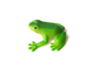 Close up of green frog toy isolated on white background. Artificial frog. Kids toy. Rubber toy.