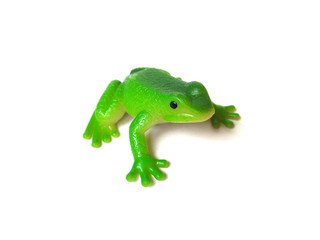 Close up of green frog toy isolated on white background. Artificial frog. Kids toy. Rubber toy.